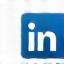Icona LinkedIn